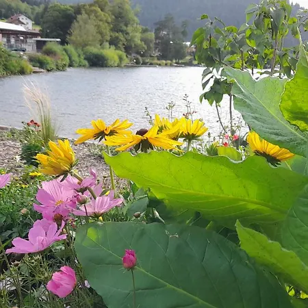 Appartement Les Pivoines 15 Minutes De Gérardmer Anould