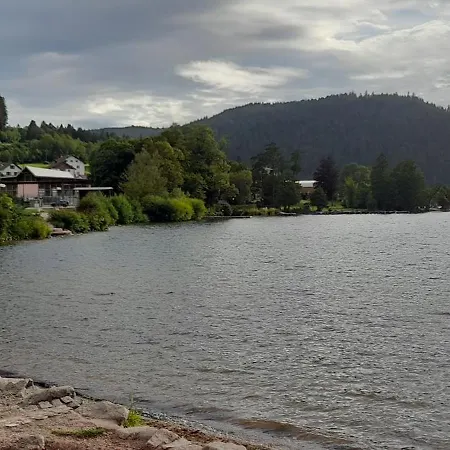 Appartement Les Pivoines 15 Minutes De Gérardmer Anould