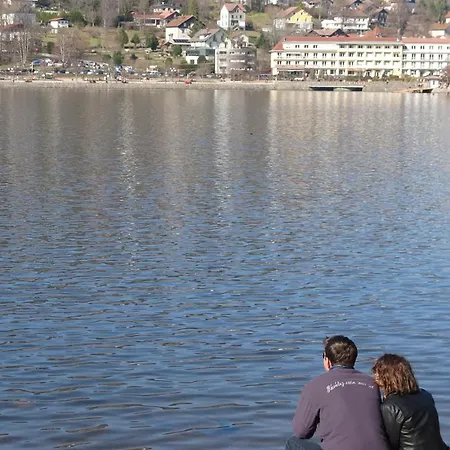 Les Pivoines 15 Minutes De Gérardmer Anould