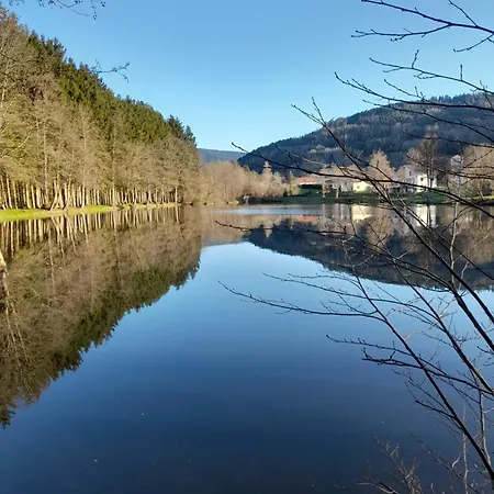 Les Pivoines 15 Minutes De Gérardmer Appartement
